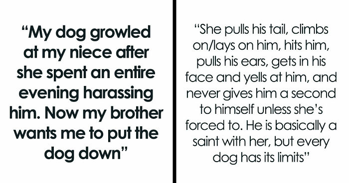 Man Refuses To Speak With Sister Until Her Dog Is Put Down: “Every Dog Has Its Limits”