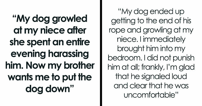Man Refuses To Speak With Sister Until Her Dog Is Put Down: “Every Dog Has Its Limits”