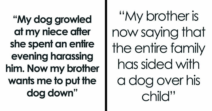 Man Refuses To Speak With Sister Until Her Dog Is Put Down: “Every Dog Has Its Limits”