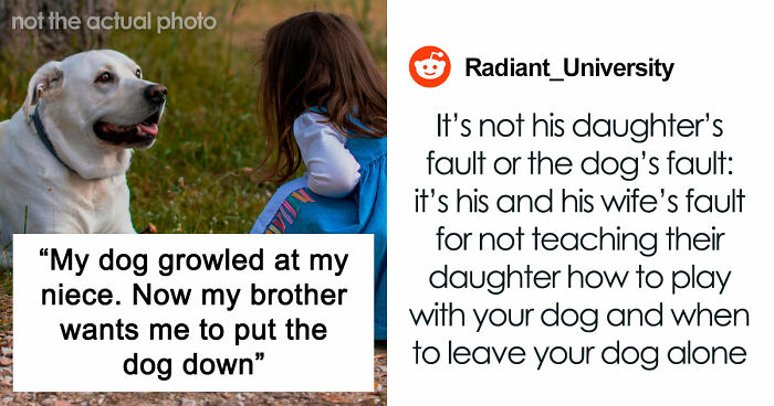 Man Refuses To Speak With Sister Until Her Dog Is Put Down: “Every Dog Has Its Limits”