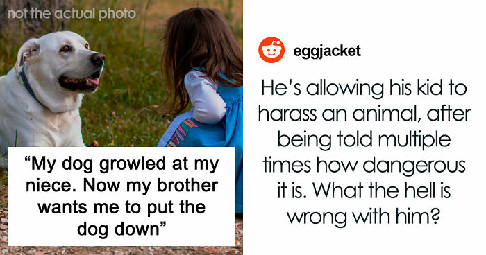 Man Refuses To Speak With Sister Until Her Dog Is Put Down: “Every Dog Has Its Limits”