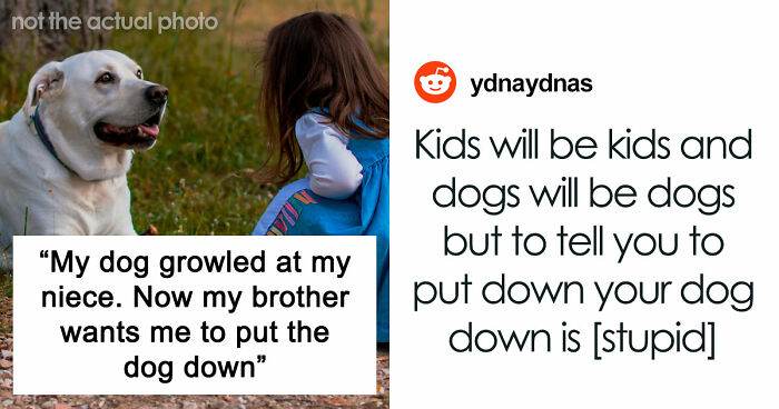 Man Refuses To Speak With Sister Until Her Dog Is Put Down: “Every Dog Has Its Limits”