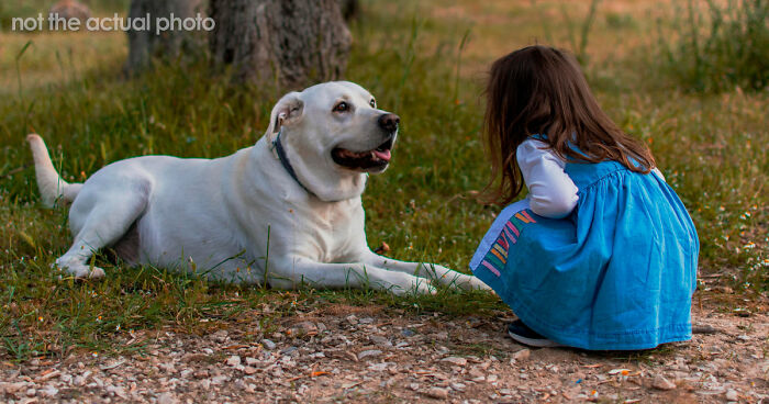 Man Refuses To Speak With Sister Until Her Dog Is Put Down: “Every Dog Has Its Limits”