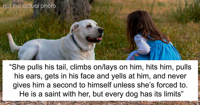 Man Refuses To Speak With Sister Until Her Dog Is Put Down: “Every Dog Has Its Limits”