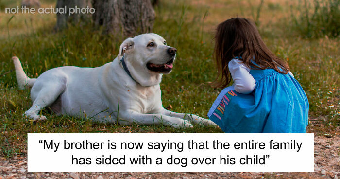 Man Refuses To Speak With Sister Until Her Dog Is Put Down: “Every Dog Has Its Limits”