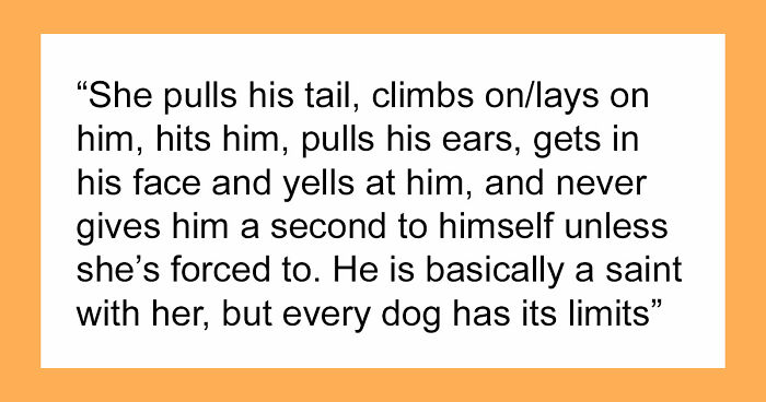 Man Refuses To Speak With Sister Until Her Dog Is Put Down: “Every Dog Has Its Limits”