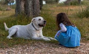 Man Refuses To Speak With Sister Until Her Dog Is Put Down: “Every Dog Has Its Limits”