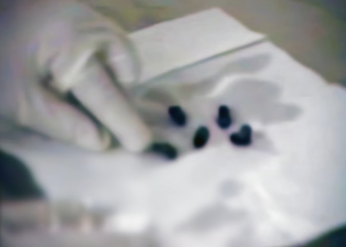Her Family Called It A Bathtub Accident Before The Police Could Even Ask—Then The Coroner Found Five Bullets Her Family Called It A Bathtub Accident Before The Police Could Even Ask—Then The Coroner Found Five Bullets
