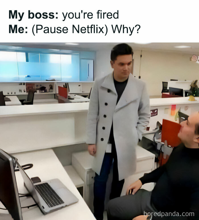 Workplace meme about being fired while pausing Netflix with random ridiculous memes