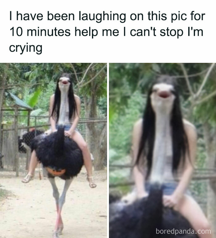 Person riding an ostrich with distorted face meme