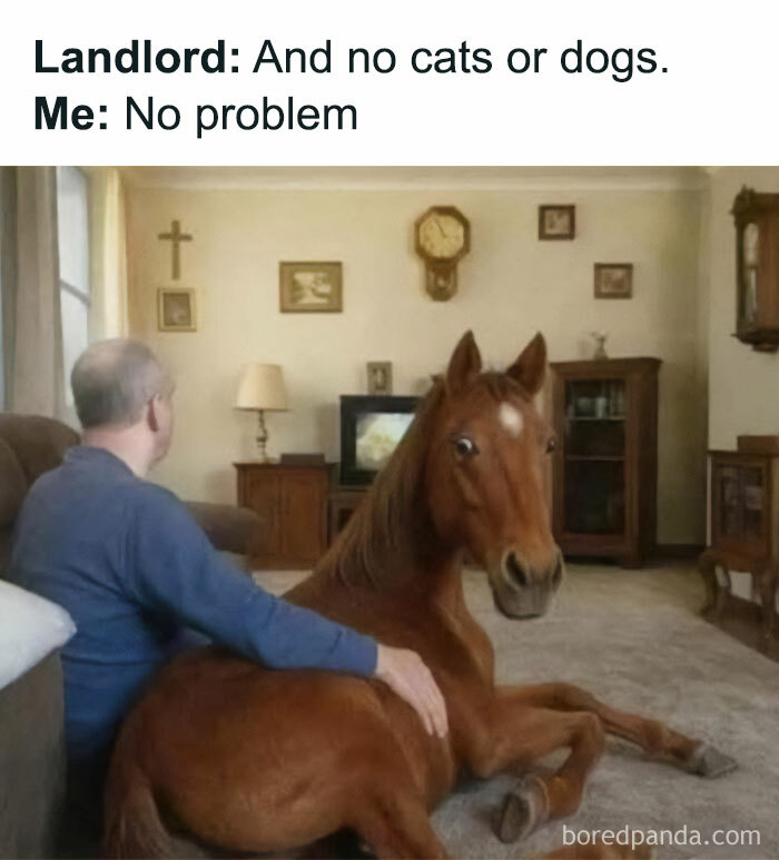 Funny meme about renting rules showing a man sitting on a horse inside a living room