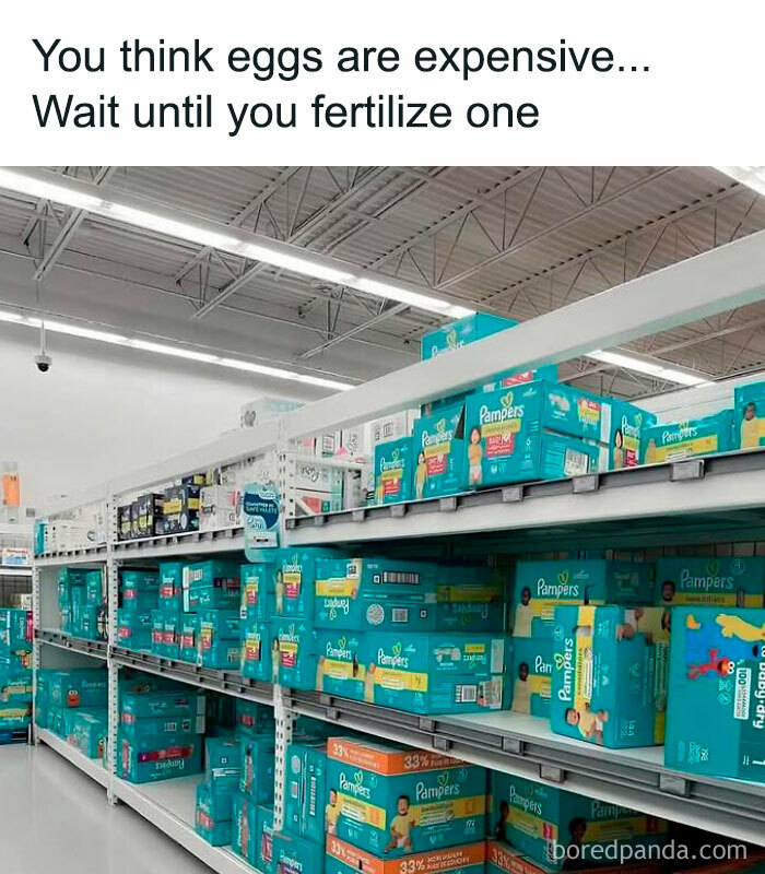 Funny meme about the cost of fertilizing an egg with stacks of diapers on store shelves