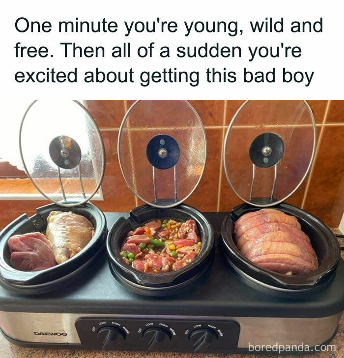 Humorous meme about excitement over a slow cooker meal