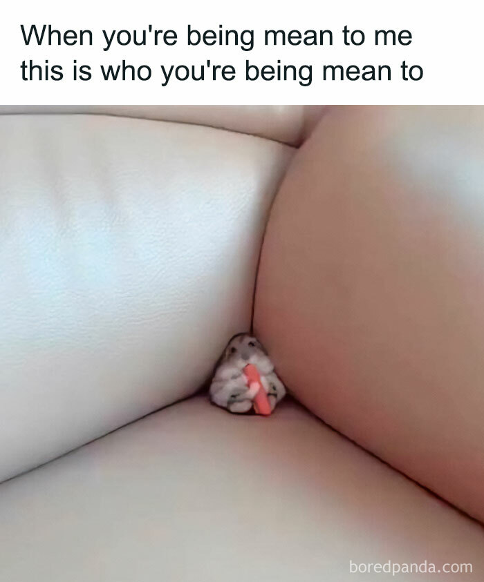 Tiny hamster hugging carrot in couch corner animal memes