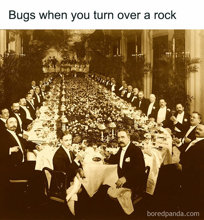 Vintage formal dinner with many men and humorous bug caption