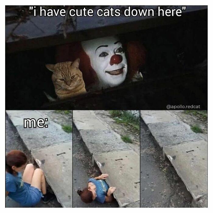 A meme showing Pennywise and a cat in a drain, with a person trying to squeeze in below. Relatable cats memes!