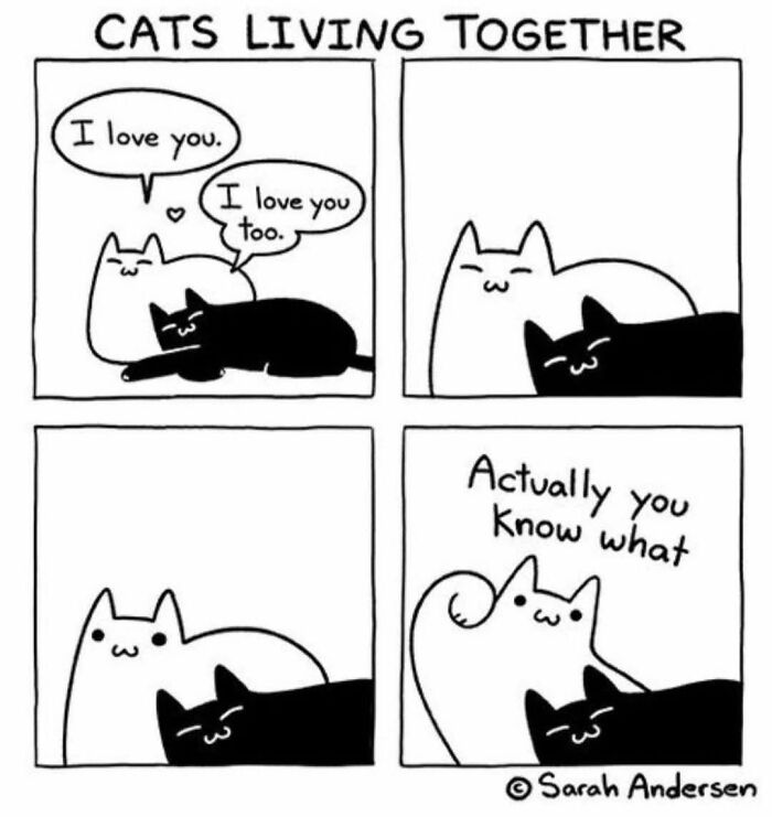 Memes-I-Wish-Could-Tag-My-Cat-In