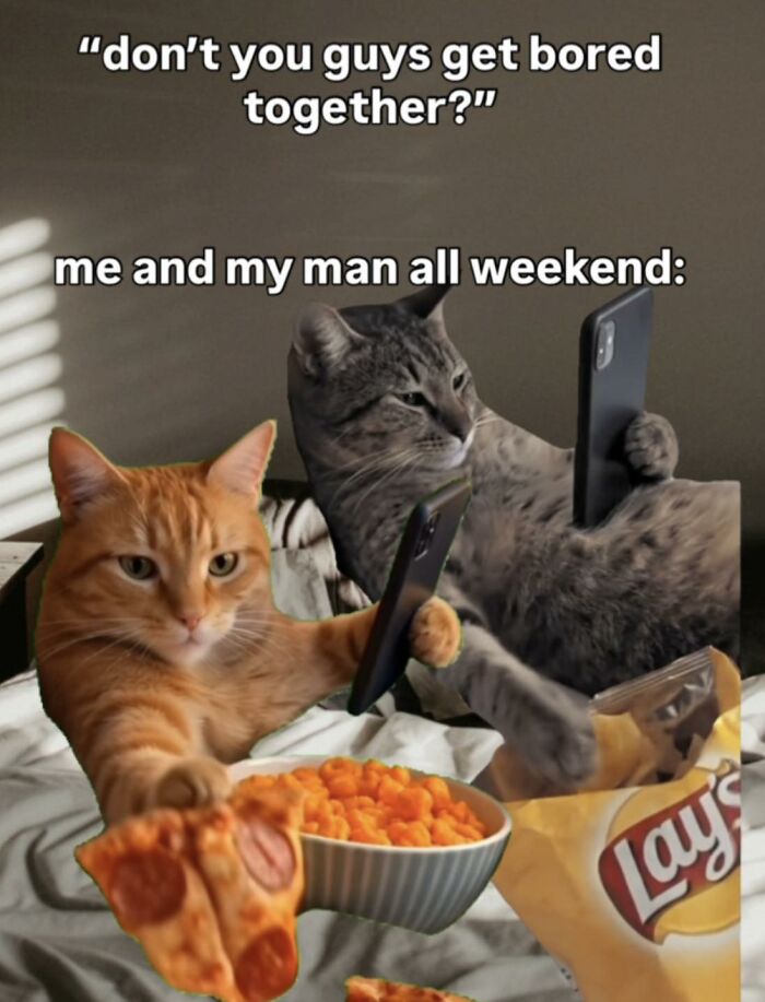 Funny cats meme: two cats, one orange, one tabby, relaxing in bed with phones, pizza, and chips. Perfect for cats internet memes.