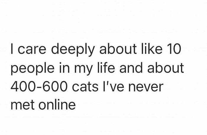 A humorous text meme: "I care deeply about like 10 people in my life and about 400-600 cats I've never met online." This meme highlights a common sentiment among cat lovers, showcasing funny memes about cats.