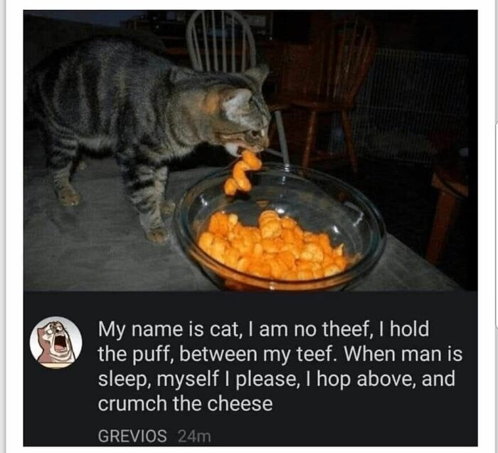 A tabby cat stealing a cheese puff from a bowl. A funny cat meme about a cat eating cheese.