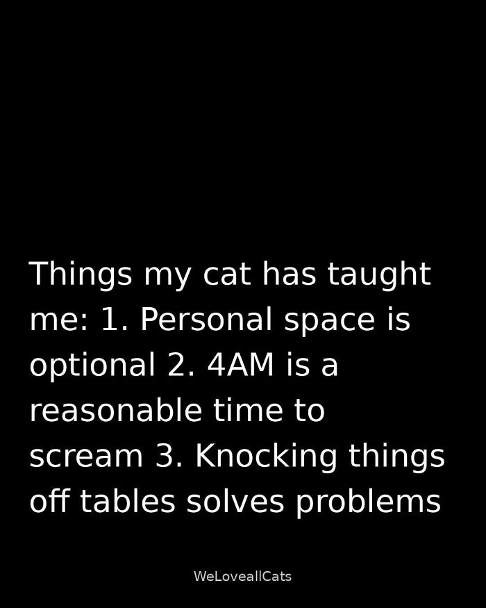 A funny cat meme listing things cats teach humans, like personal space is optional and 4 AM is for screaming.