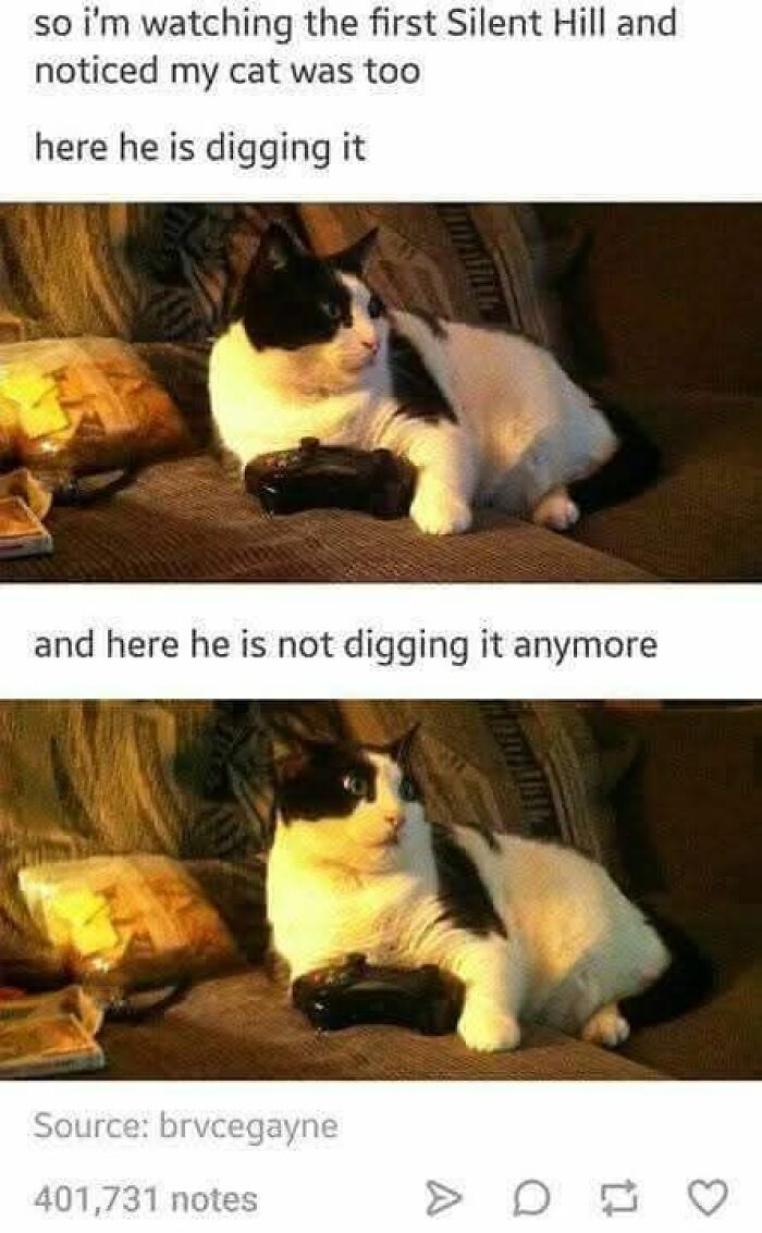 A humorous meme of a cat watching Silent Hill, holding a controller, then looking terrified. These funny cat memes are so relatable!