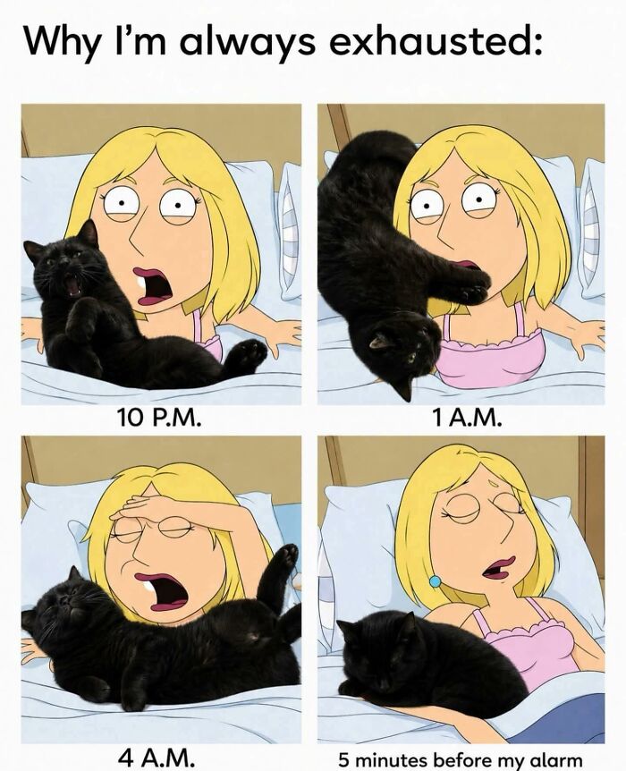 Funny meme showing a woman trying to sleep while a black cat prevents it at different times. Cats memes.