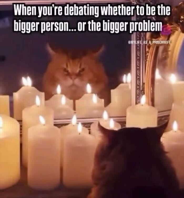 An angry-looking cat's reflection in a mirror, surrounded by many lit candles. This funny image is one of many cat memes.