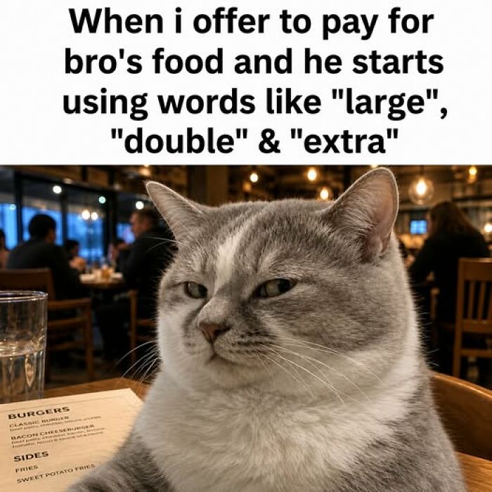 A skeptical cat meme at a restaurant, looking annoyed about a food order, perfect for cat memes.