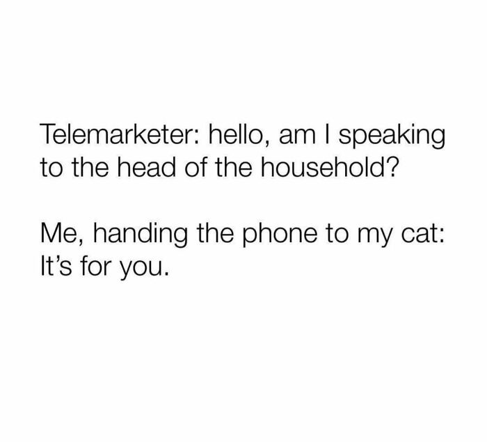 A funny cat meme about handing the phone to a cat when a telemarketer calls. Perfect for cat lovers and internet memes.