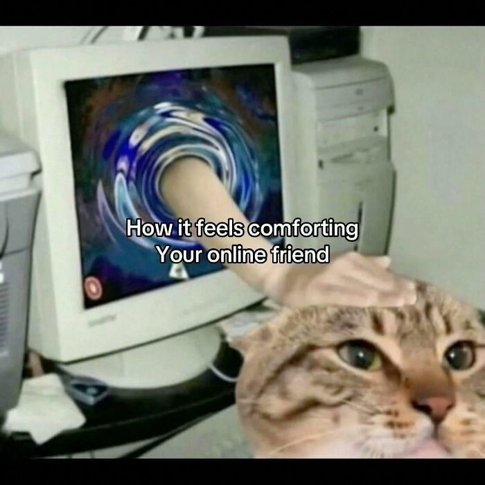 Memes-I-Wish-Could-Tag-My-Cat-In