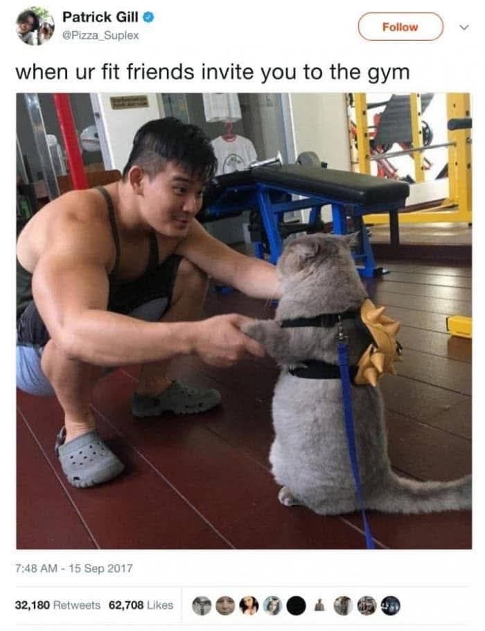 Memes-I-Wish-Could-Tag-My-Cat-In