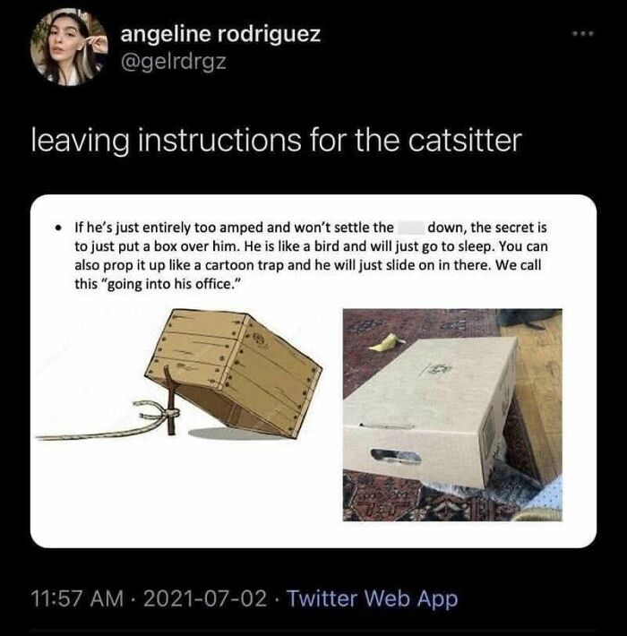 Memes-I-Wish-Could-Tag-My-Cat-In