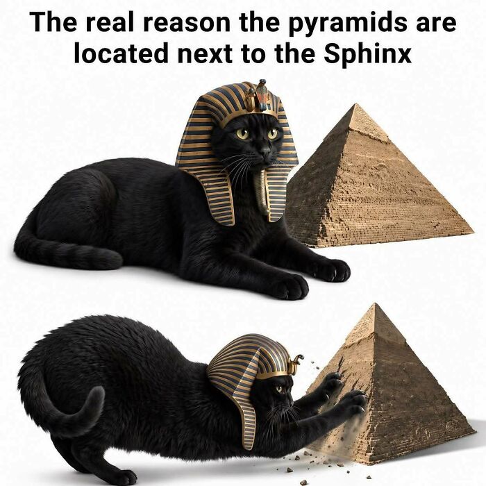 Funny cat memes: A black cat in a pharaoh's headdress next to a pyramid, then scratching it.