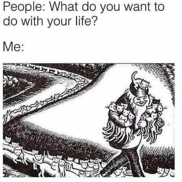A meme with a person carrying many cats and a long line of cats behind them. This is one of many cats memes.