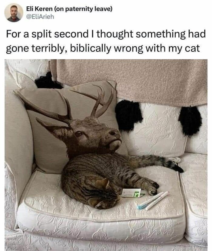 A cat memes image showing a tabby cat sleeping next to a deer-head pillow, making it look like a strange hybrid.