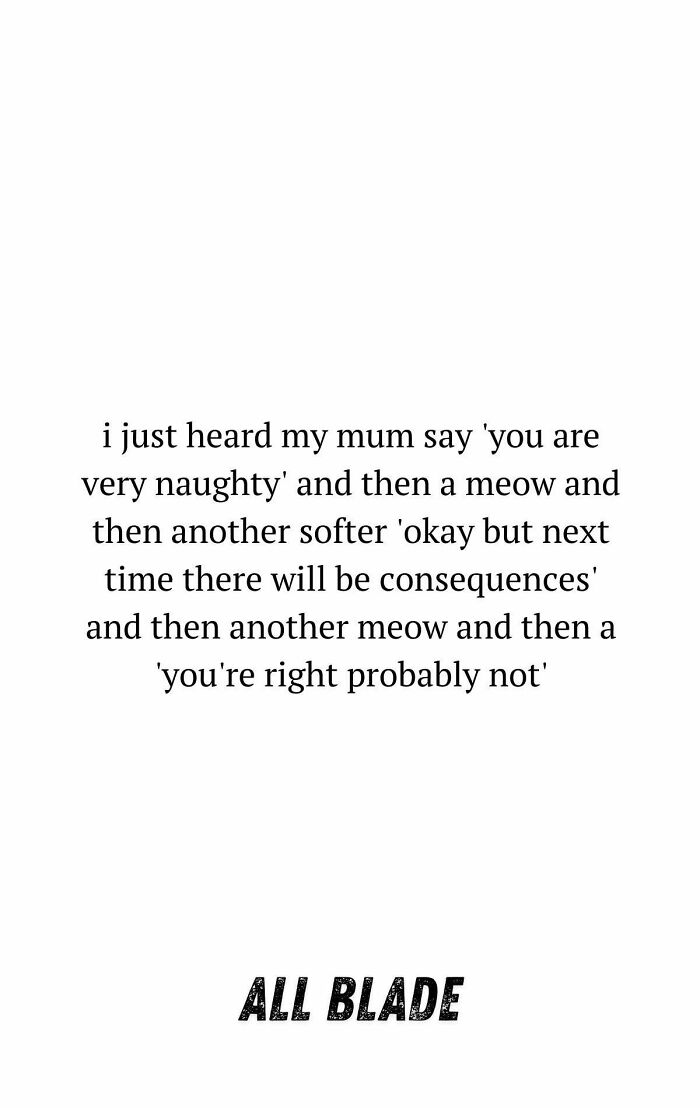A cat meme with text describing a mum scolding her cat: "you are very naughty" then a meow, and "you're right probably not." Cats memes.