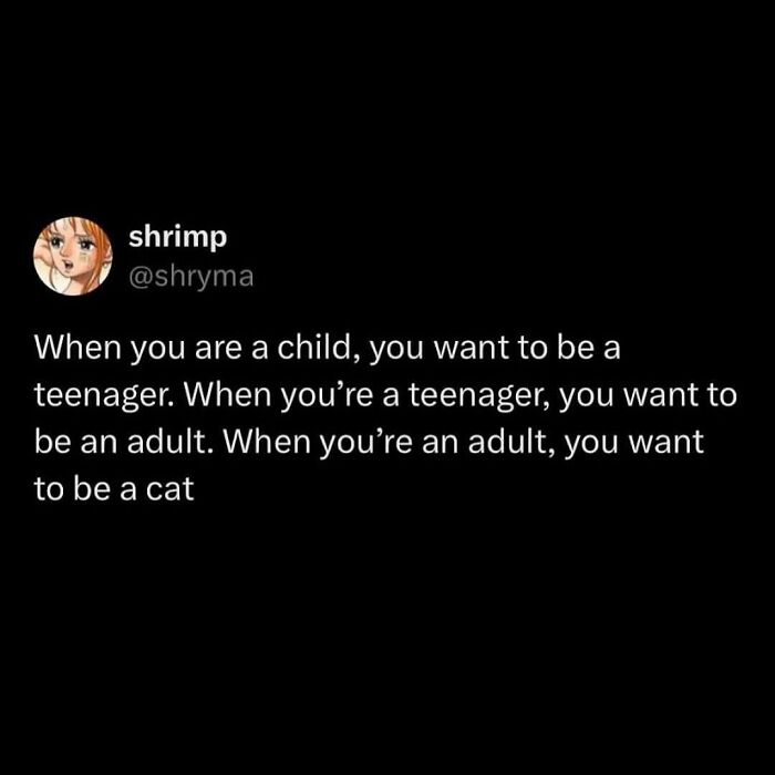 A tweet from user shrimp on a black background, humorously stating, "When you're an adult, you want to be a cat." Cats memes.