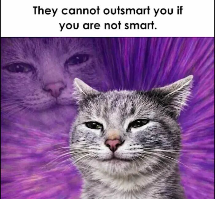 A smug tabby cat meme with a faded purple cat in the background and text: They cannot outsmart you if you are not smart. This is one of many funny cat memes.