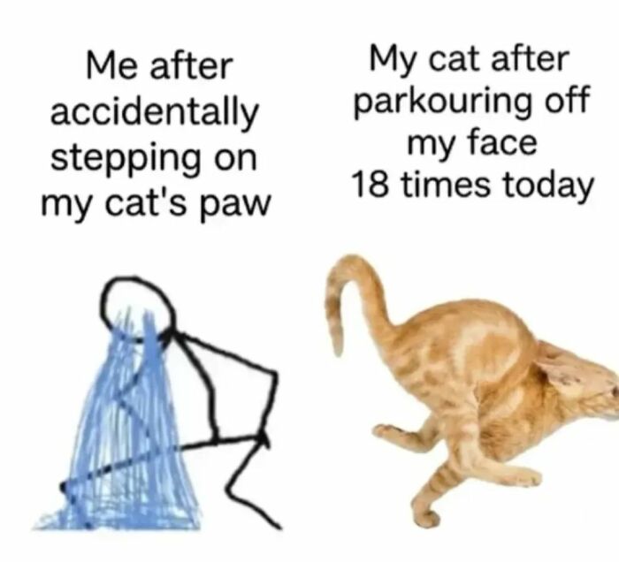 A relatable cat meme showing a stick figure crying after stepping on a cat's paw, next to a blurry running cat.
