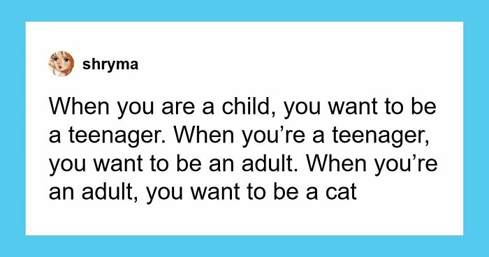 If Cats Could Use The Internet, They Would Probably Love These 79 Memes (New Pics)