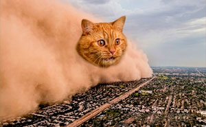 79 Hissterical Memes You’d Like To Tag Your Cat In (New Pics)