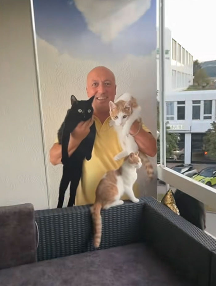 A happy bald man holding two cats, with a third cat perched on outdoor furniture. Men got a pet.
