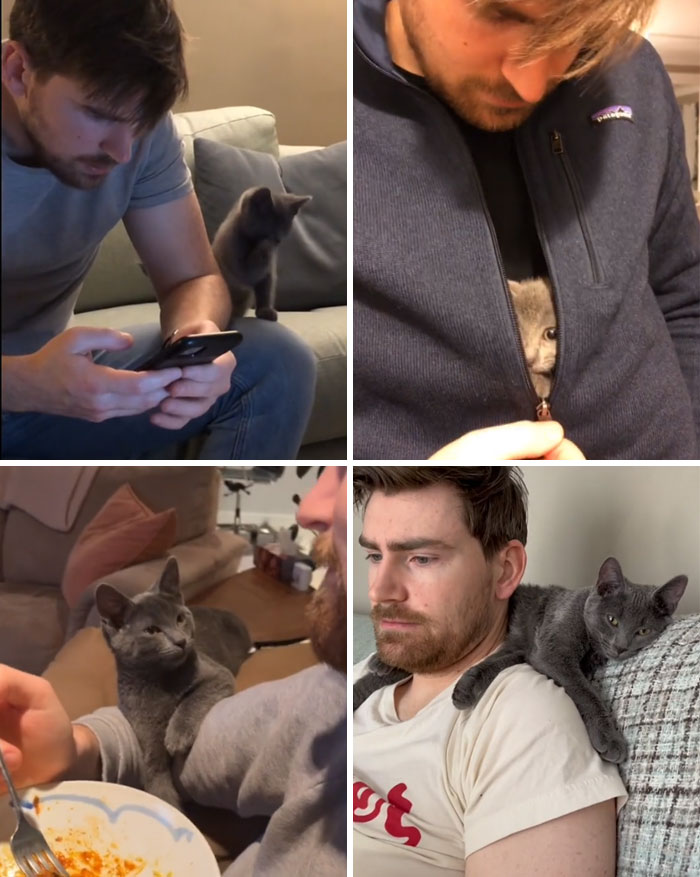 A collage shows a man and his pet cat bonding. The cat goes from a kitten near him to his baby on his shoulder.