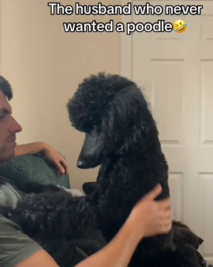 Two Poodles Later