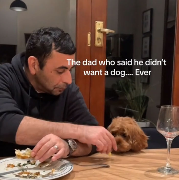 A man feeding a small brown dog from his plate at a table. He's a man who got a pet against his will.