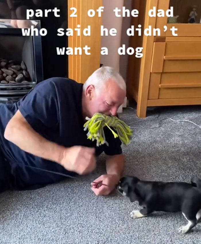 A man playing with a black puppy and a green toy. Men get a pet, from absolutely not to that's my baby.