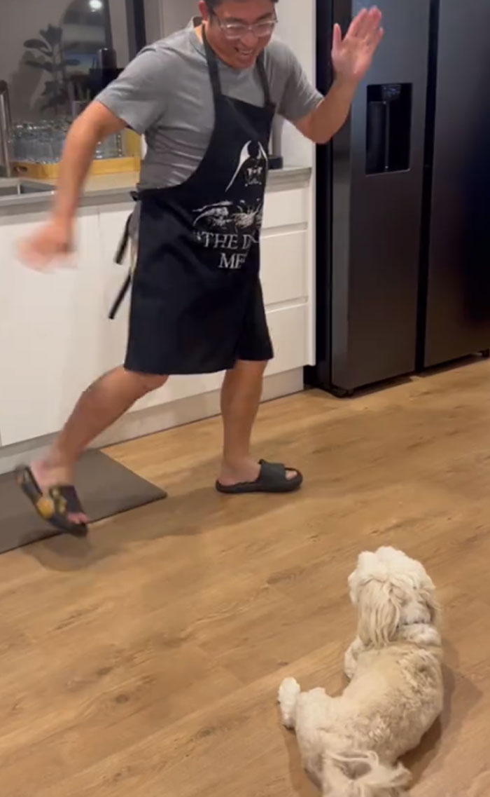 A man in a Darth Vader apron happily walks towards a small white dog lying on the floor. Men getting a pet.