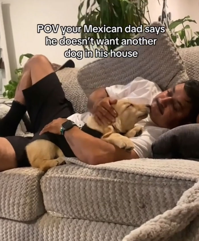 A man relaxing on a couch, gently cuddling a small dog against his chest, proving men got a pet.