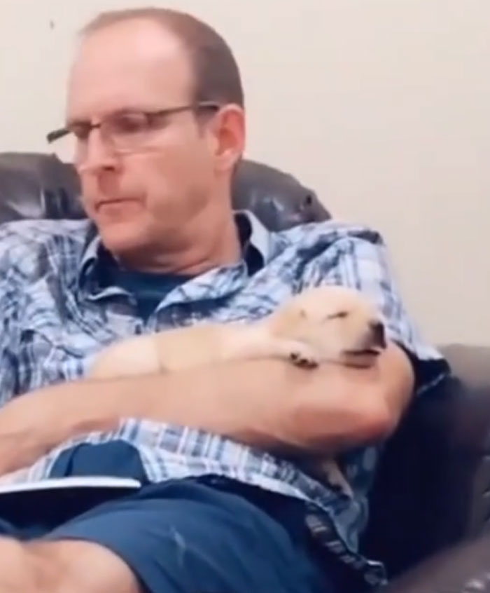 Man in glasses, holding a sleeping puppy. Men got a pet and fell in love with their baby.